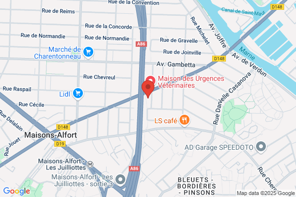 Association Les Memes