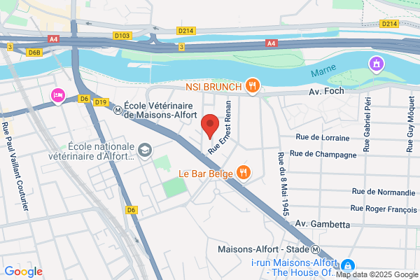 Amsellem Martine