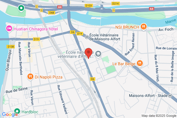 Chiens Securite