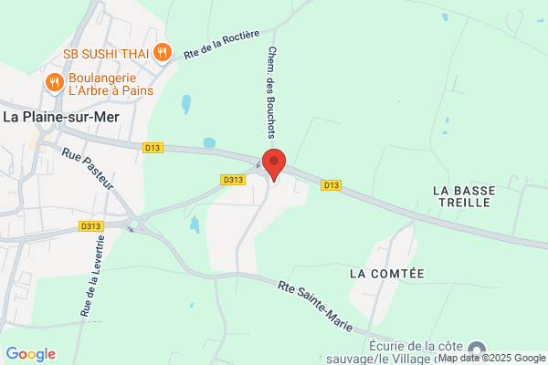 Du Reve Au Jardin