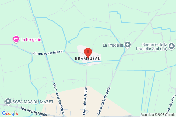Gaec De Bramejean