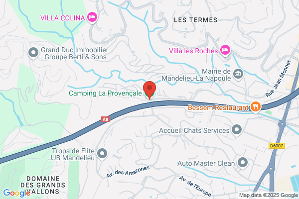 Camping Et Residence Le Grand Saule