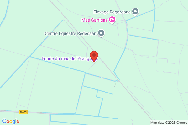 Ecurie Du Mas De L Etang