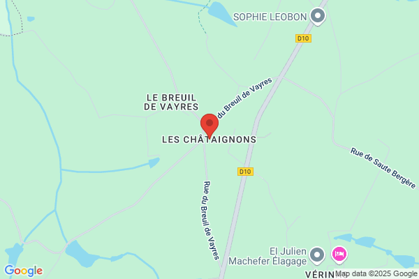 Chataignon Henri