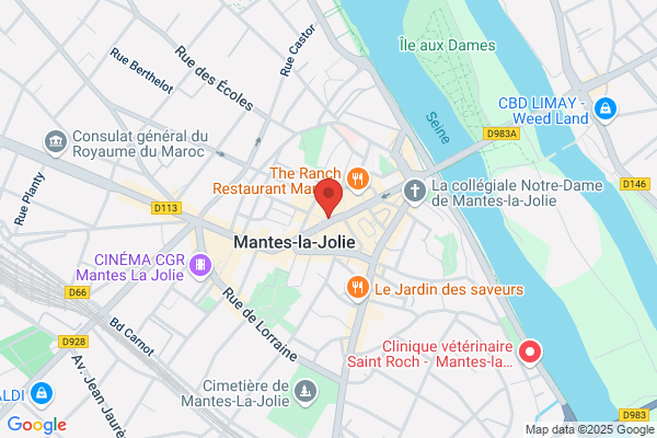 Audioprothésiste Mantes-La-Jolie-Alain Afflelou Acousticien