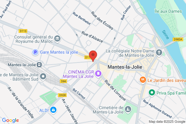 Afat Voyages Tourism Conseil Sa Membre