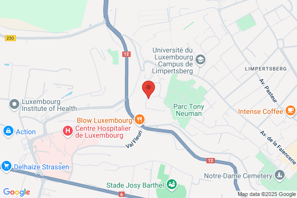 Bus Rouge