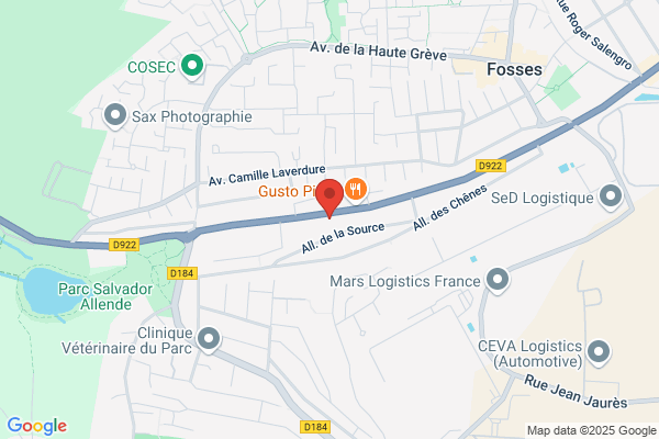 Adic Europe
