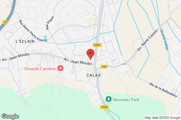 Calas Jean Medecin