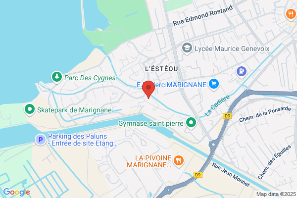 Esteou Pain