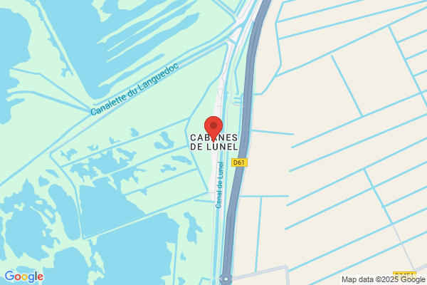Barkane