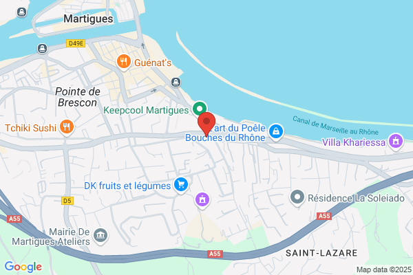 Conseil General Des Bouches Du Rhone Diss centres medico sociau