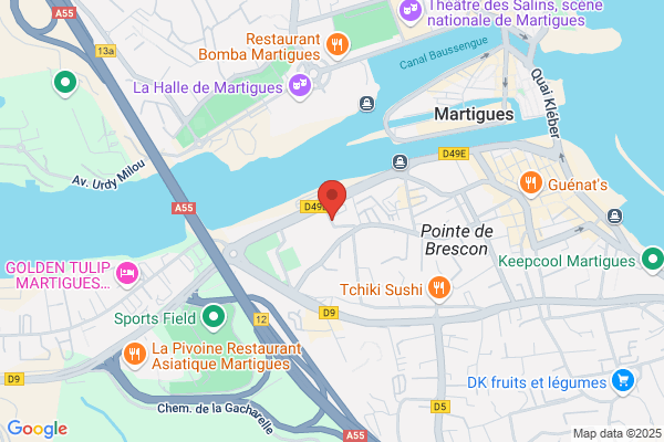 Conseil General Des Bouches Du Rhone Diss centres medico sociau