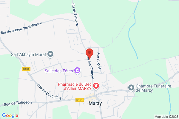 Boucaud Martine