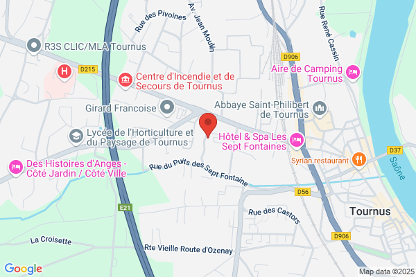 Comite Departemental De La Randonnee Pedestre