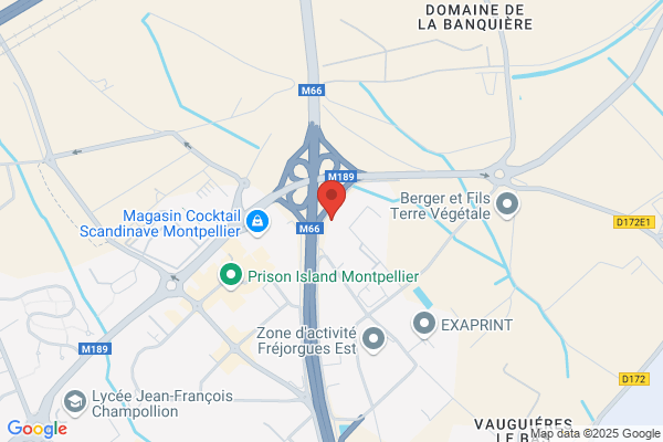 Arts Et Techniques Du Cuir