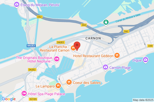 Coach et Consultante Carnon