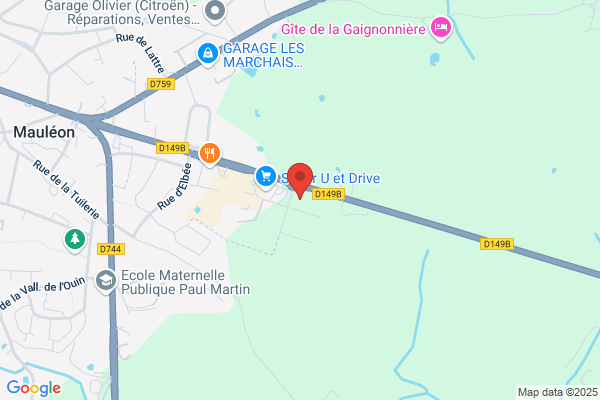 AUTO SERVICE MAULEONNAIS