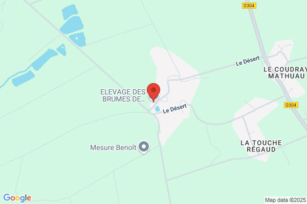 ELEVAGE DES BRUMES DE BROCELIANDE