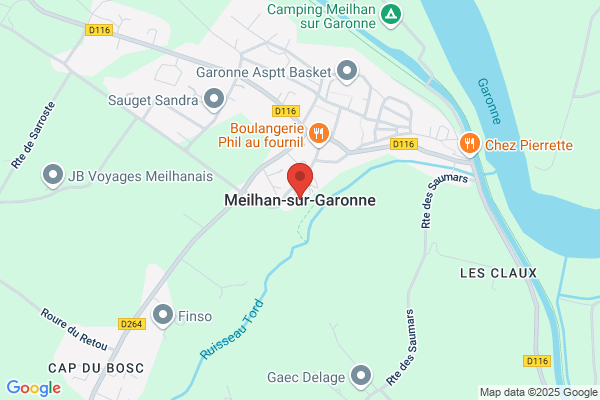 sud ouest frelons