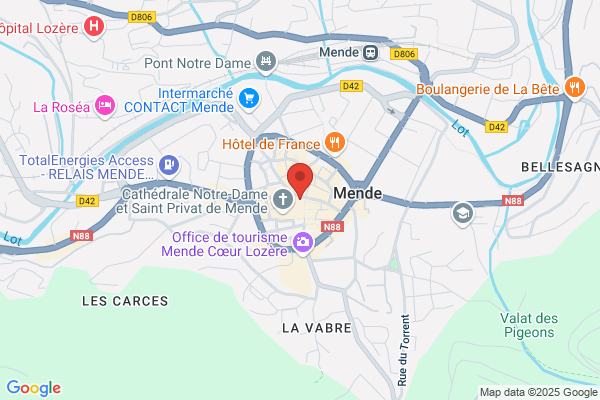 BOUYGUES TELECOM