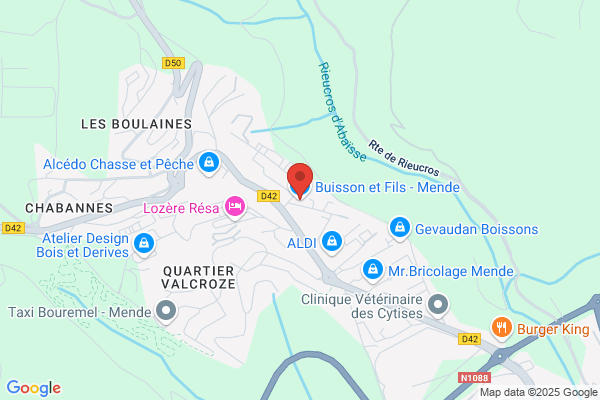 BUISSON ET FILS