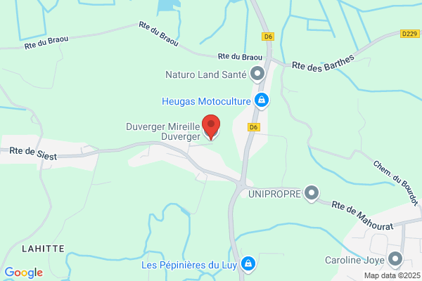 Duverger Pierre
