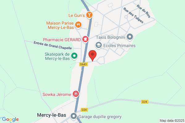 Bazard Irene