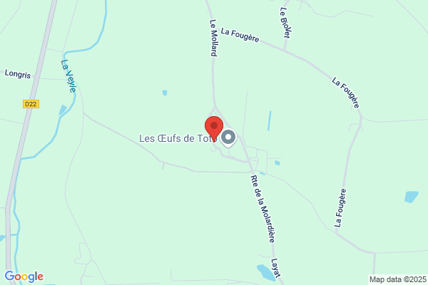 Chollier Laurent