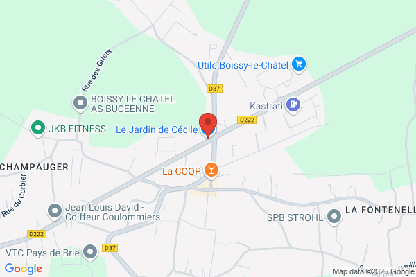 Boissy Cecile