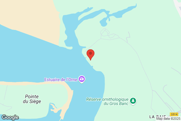 Gastronomie Des Fjords