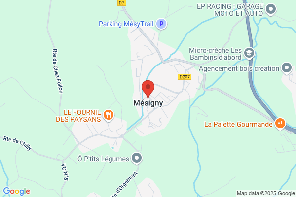 Comite Des Fetes