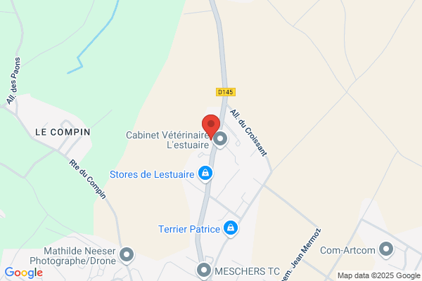 Bertin Martine
