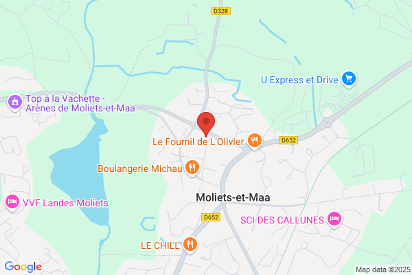 Horgue Michel Medecin