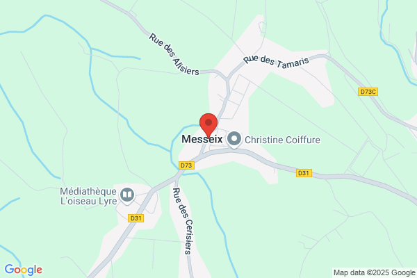 Champignon de la Mortagne