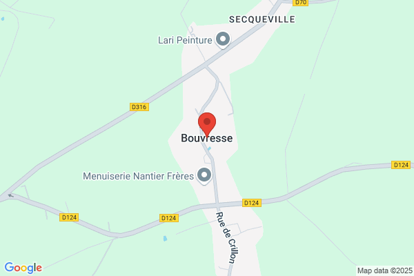 Bouvresse Claude