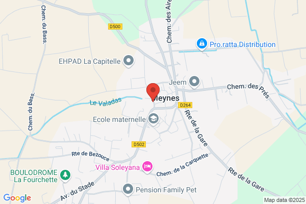 Quand les Chiens s’en Mêlent