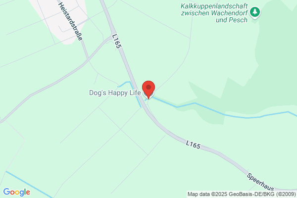 Happy Dog