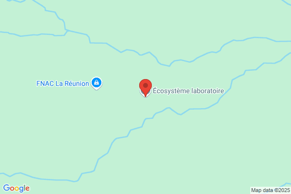 L HETIK REUNIONNAISE