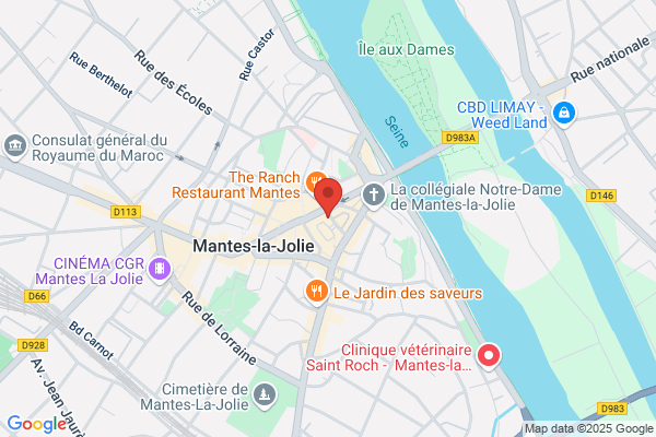 cocciMarket