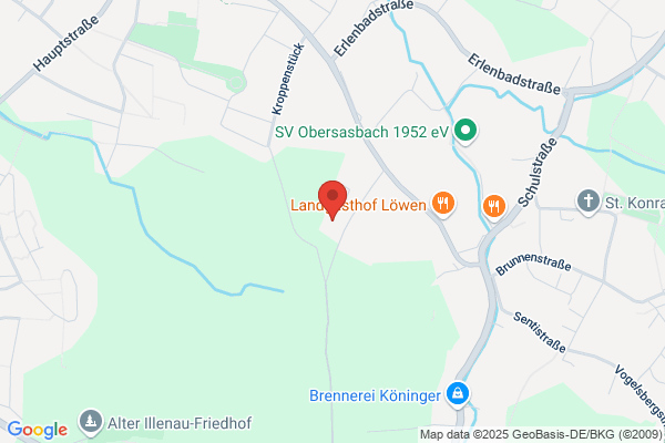ERLEWEIN