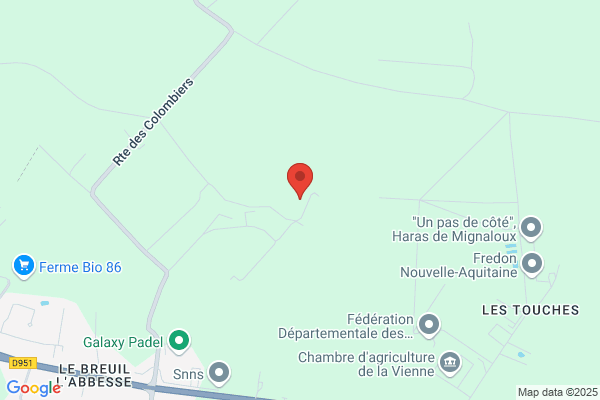 Boucaud J