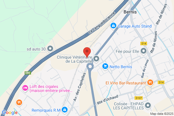 Biophyres France