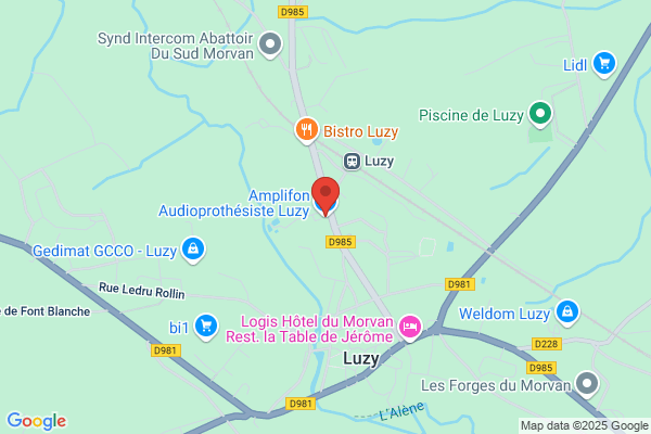 Amplifon Audioprothésiste Luzy