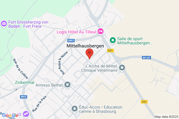 Jaegle Daniel