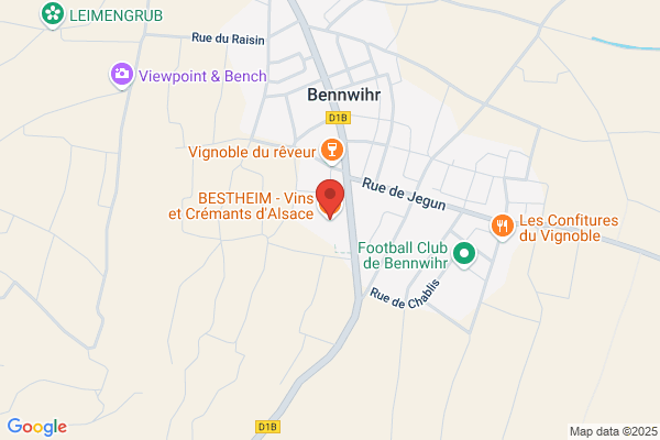 Bestheim Vins Producteur