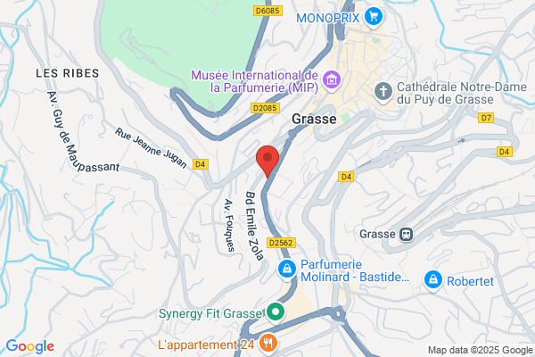 Dog Brushing
