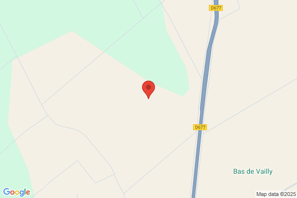 Bricard Louis