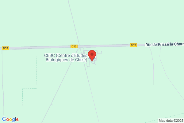 Cereplus Laboratoire Central Unite De Recherche Et De Develop