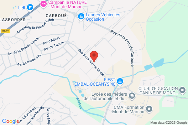 Ciiat Pilotage Securite Sante